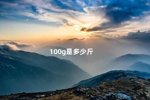 100g是多少斤