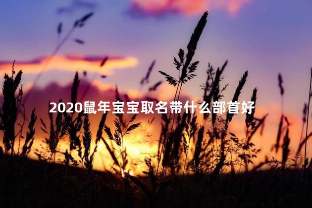 2020鼠年宝宝取名带什么部首好