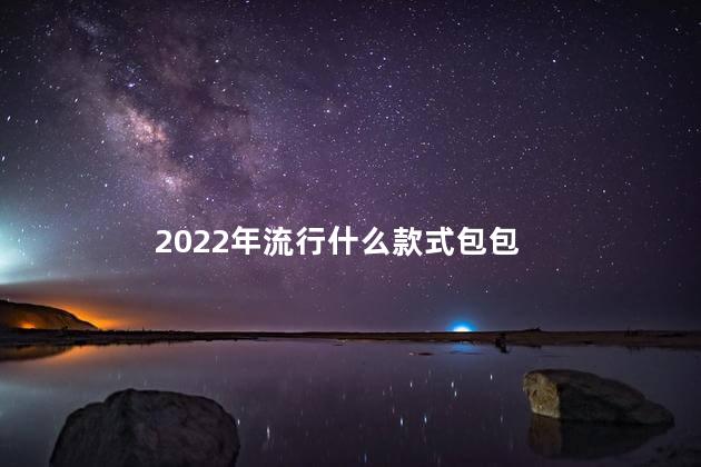 2022年流行什么款式包包