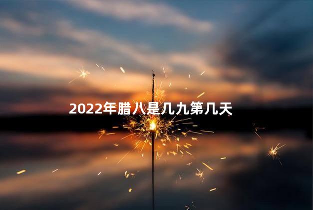 2022年腊八是几九第几天
