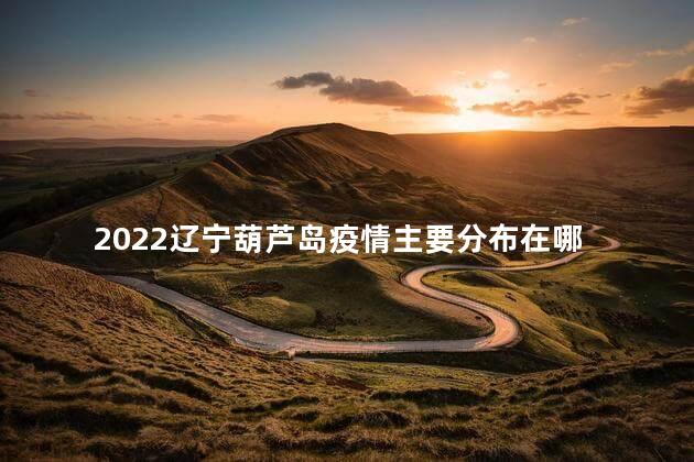 2022辽宁葫芦岛疫情主要分布在哪