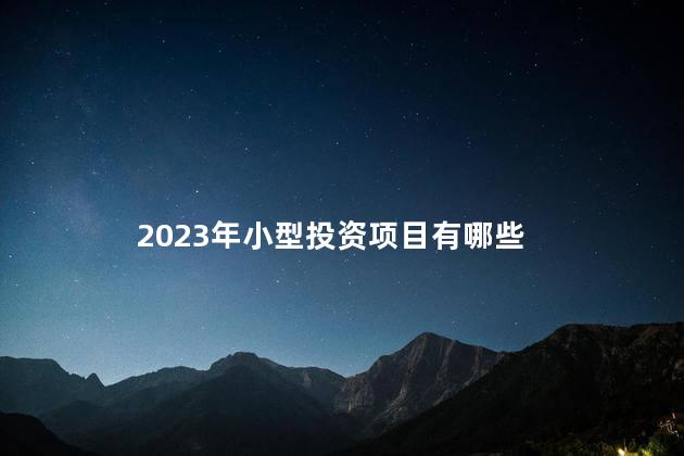 2023年小型投资项目有哪些