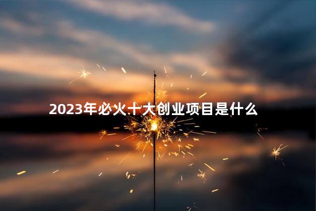 2023年必火十大创业项目是什么