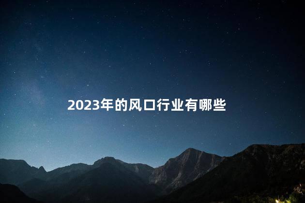 2023年的风口行业有哪些