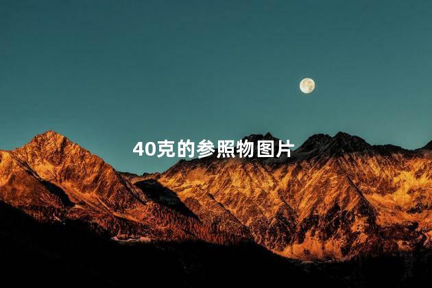 40克的参照物图片