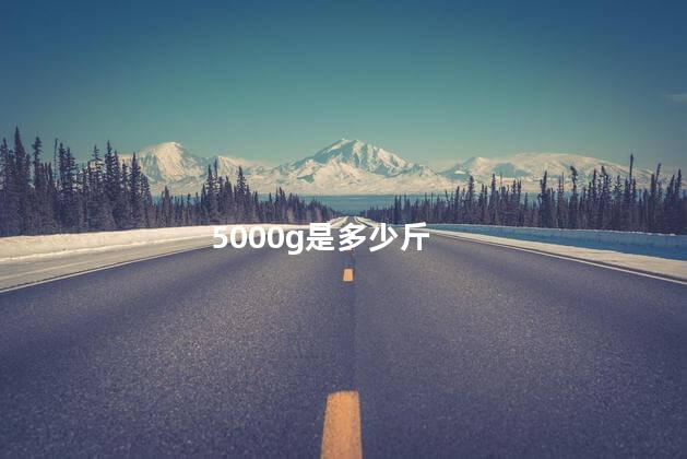 5000g是多少斤