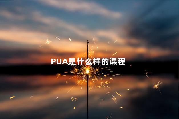 PUA是什么样的课程