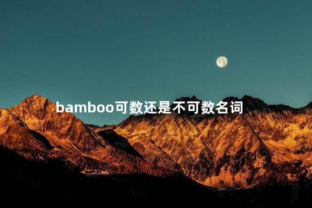 bamboo可数还是不可数名词