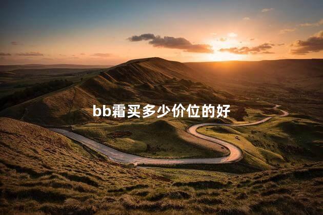 bb霜买多少价位的好