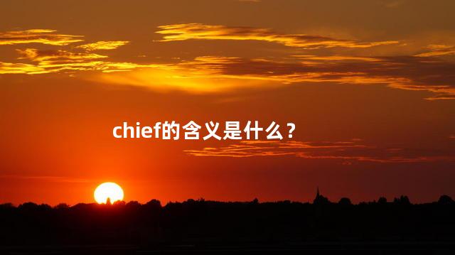 chief的含义是什么？