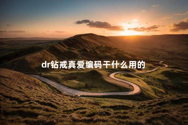 dr钻戒真爱编码干什么用的