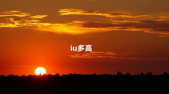 iu多高