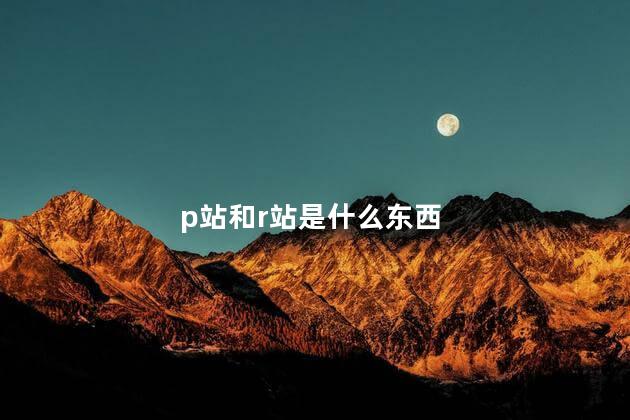 p站和r站是什么东西