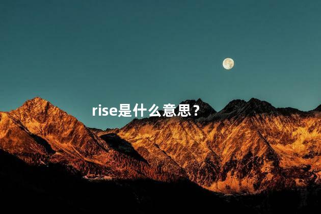 rise是什么意思？