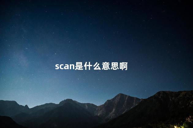 scan是什么意思啊