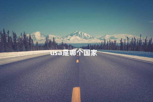 usa是哪个国家