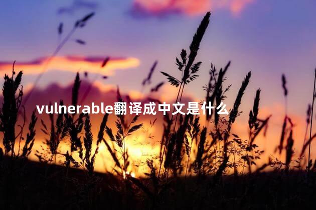 vulnerable翻译成中文是什么