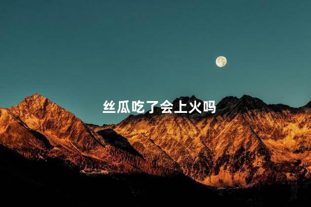 丝瓜吃了会上火吗