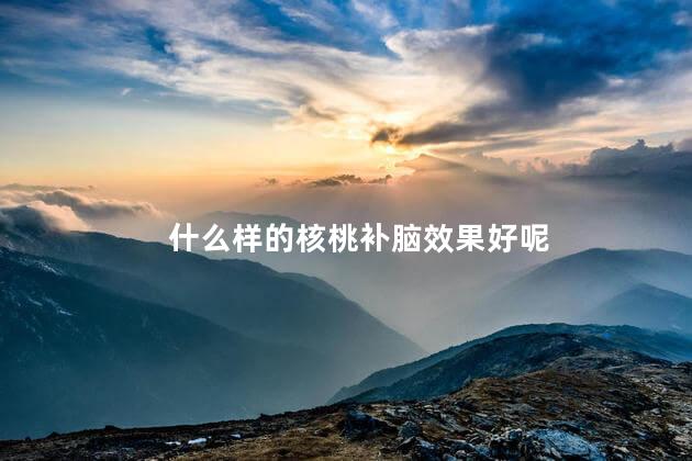 什么样的核桃补脑效果好呢