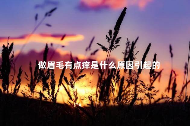 做眉毛有点痒是什么原因引起的