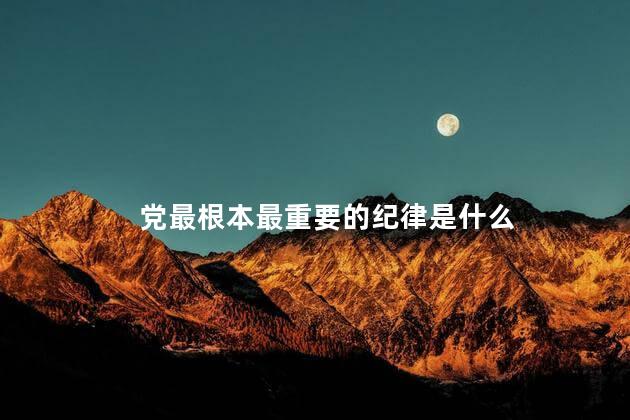 党最根本最重要的纪律是什么