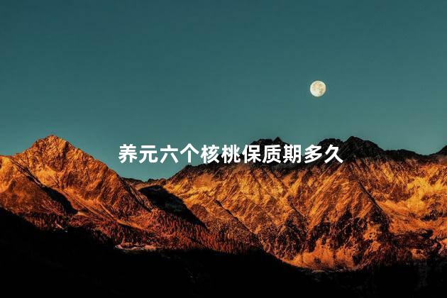 养元六个核桃保质期多久