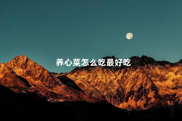 养心菜怎么吃最好吃