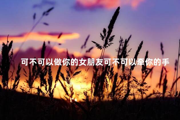 可不可以做你的女朋友可不可以牵你的手是什么歌