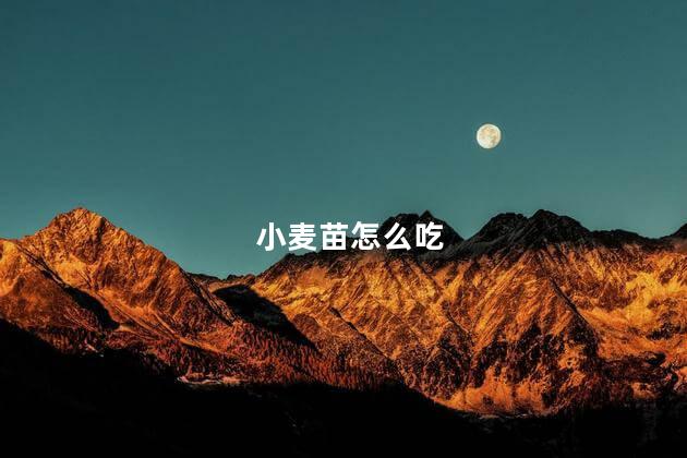 小麦苗怎么吃