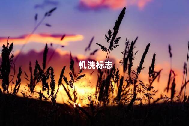 机洗标志