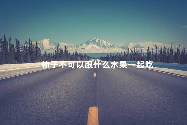 柿子不可以跟什么水果一起吃