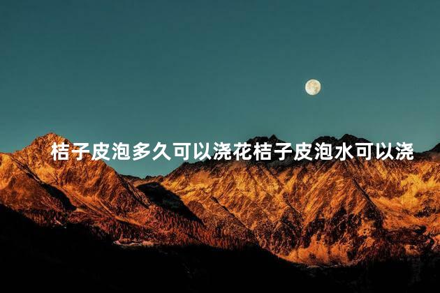 桔子皮泡多久可以浇花桔子皮泡水可以浇黄瓜吗？