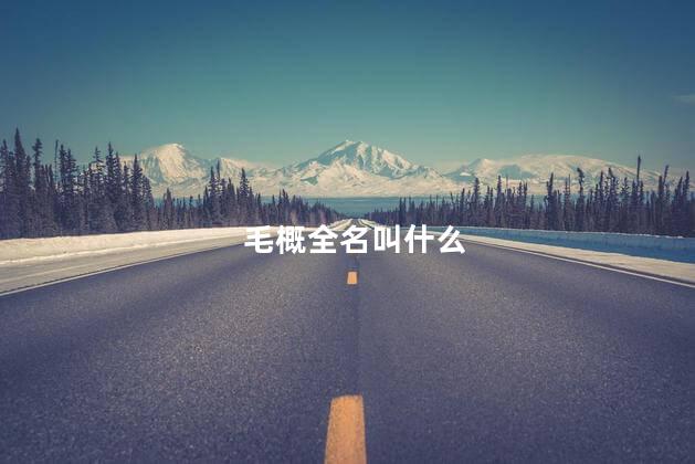 毛概全名叫什么