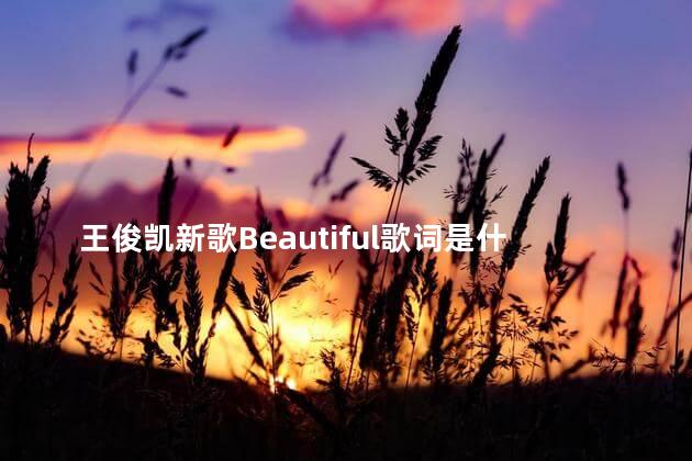 王俊凯新歌Beautiful歌词是什么