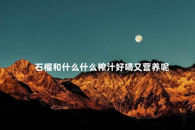 石榴和什么什么榨汁好喝又营养呢