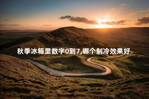 秋季冰箱里数字0到7,哪个制冷效果好