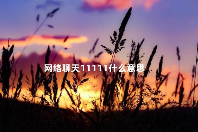 网络聊天11111什么意思