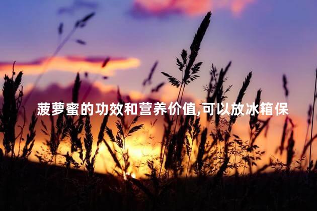 菠萝蜜的功效和营养价值,可以放冰箱保鲜或冷冻吗？