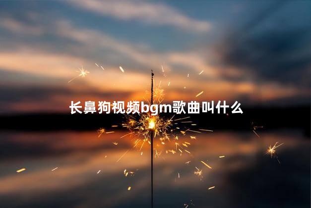 长鼻狗视频bgm歌曲叫什么