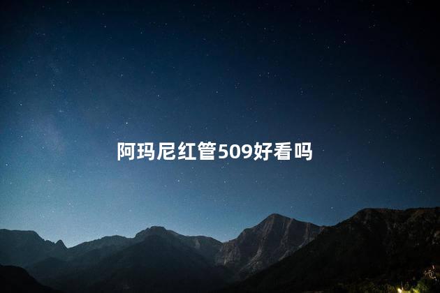 阿玛尼红管509好看吗