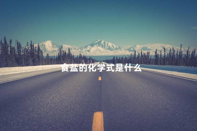 食盐的化学式是什么